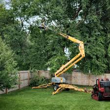 Lawn Maintenance Plans in Pleasant Grove, AL