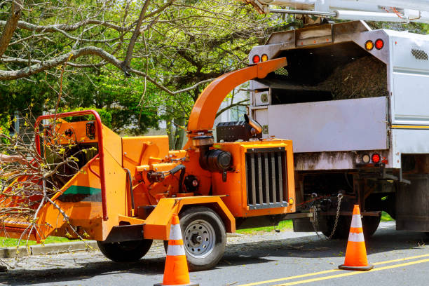 How Our Tree Care Process Works  in  Pleasant Grove, AL